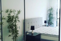 Black Framed Mirror Doors